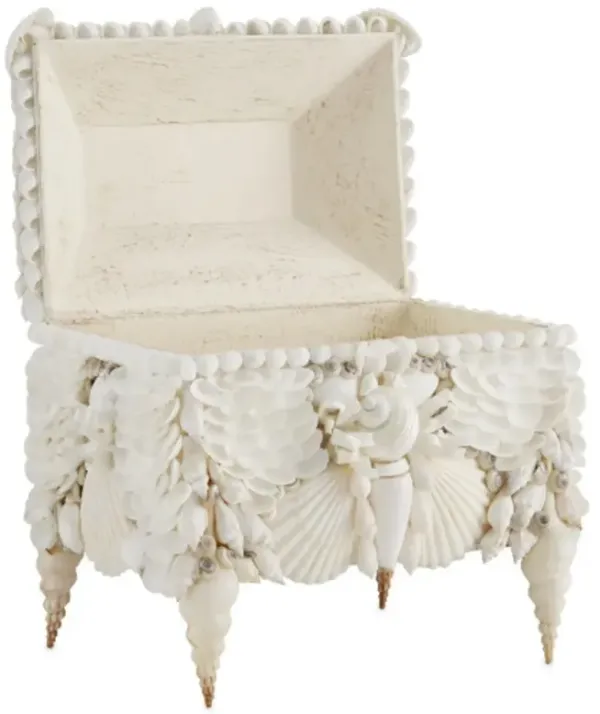 Boardwalk Shell Jewelry Box, White