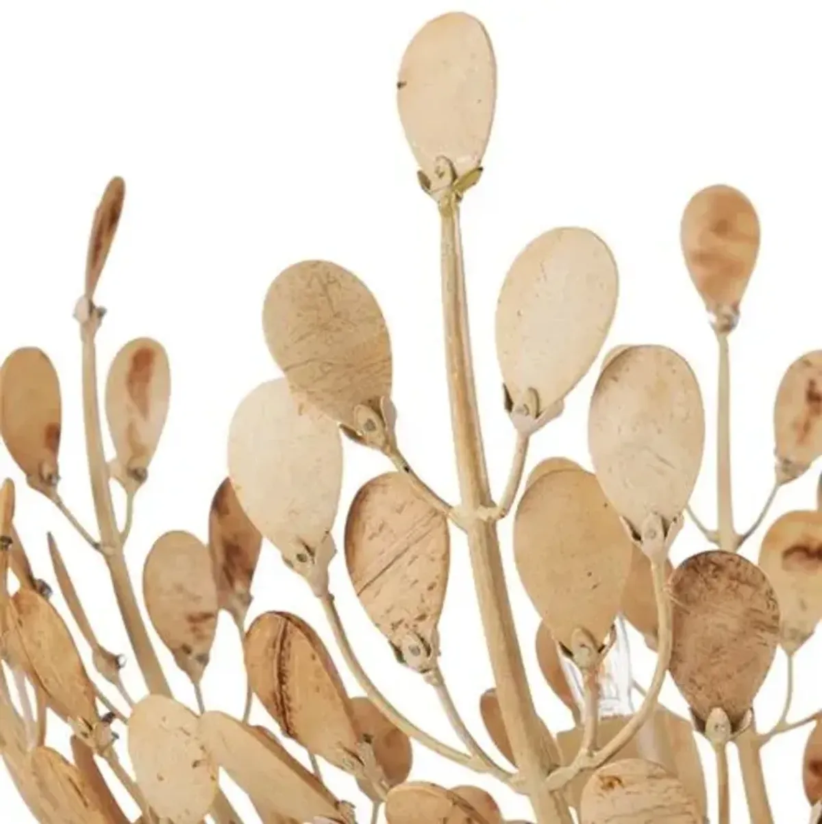 Maypan Coco Shell Chandelier - Natural Coco Cream - Currey & Company - Beige