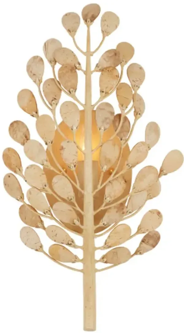 Maypan Coco Shell Wall Sconce - Natural Coco Cream - Currey & Company