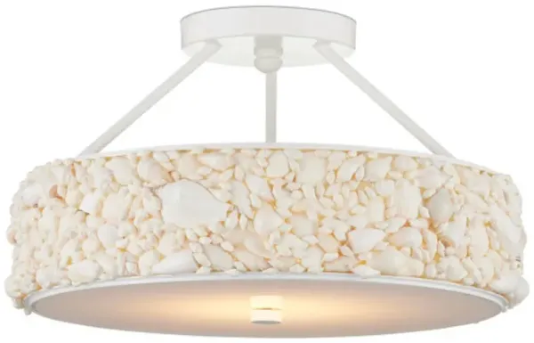 Turbinella Shell Semi Flush Mount - Off White - Currey & Company - Ivory