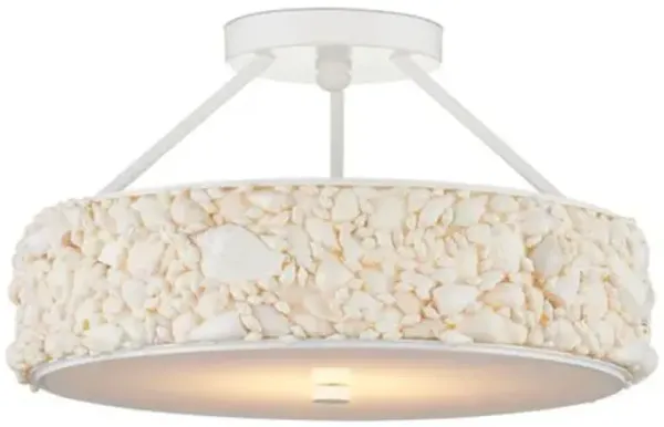Turbinella Shell Semi Flush Mount - Off White - Currey & Company - Ivory