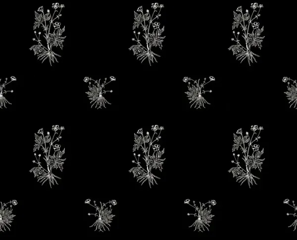 Lauren Liess, Buttercup Wallpaper