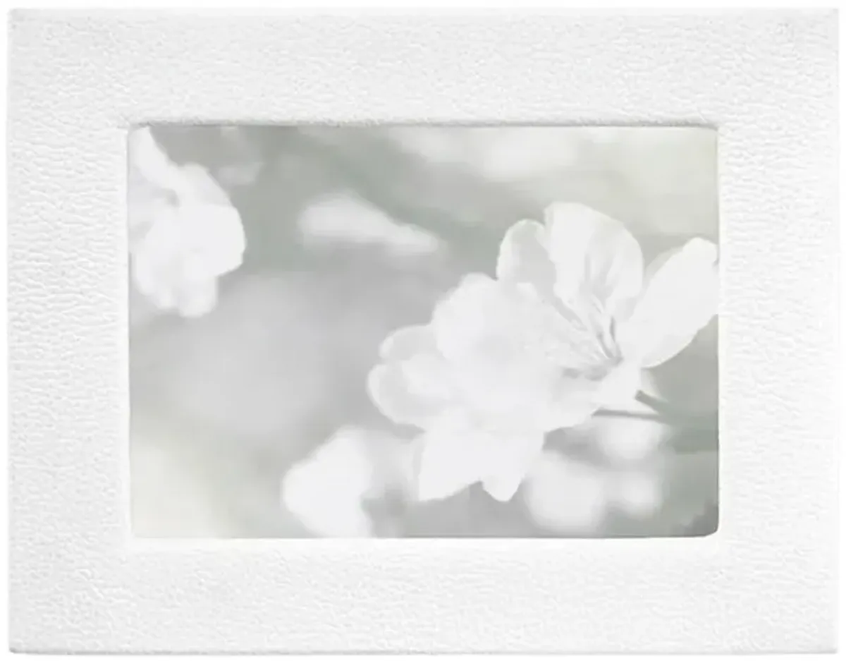 Studio Collection Picture Frame