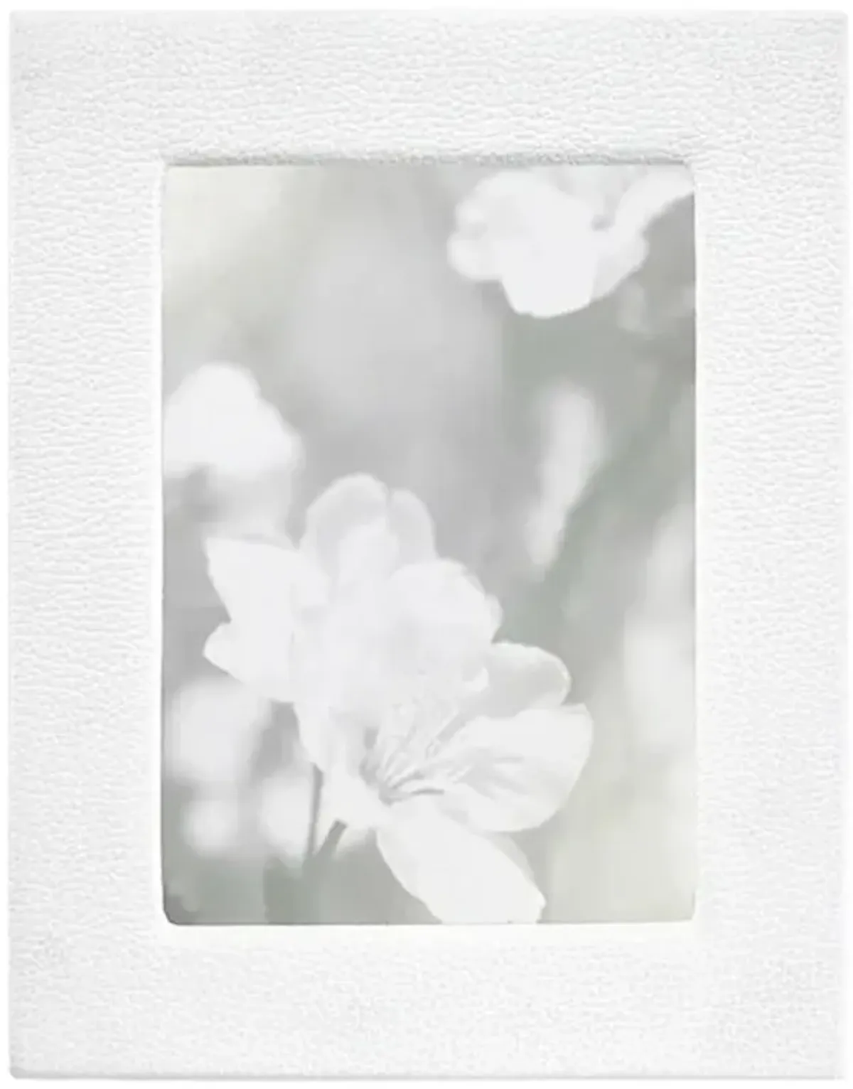 Studio Collection Picture Frame