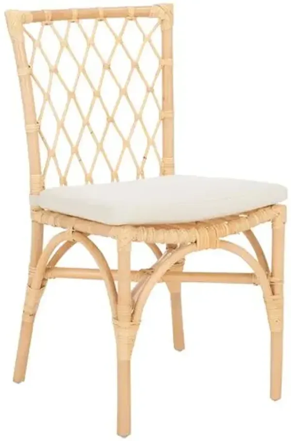 Set of 2 Audrienn Dining Chairs with Cushion - White/Natural - Brown