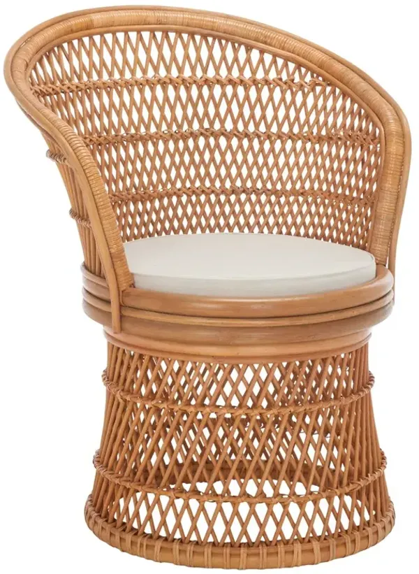 Teyreth Swivel Accent Rattan Chair with Cushion