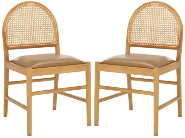S/2 Melly Rattan Leather Seat Dining Side Chairs