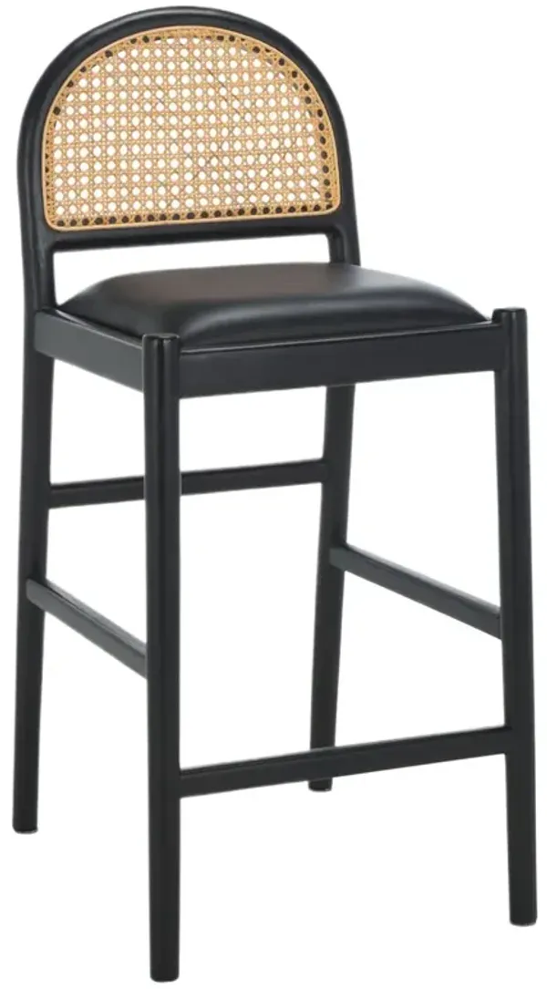 Erynor Rattan & Leather Counter Stool