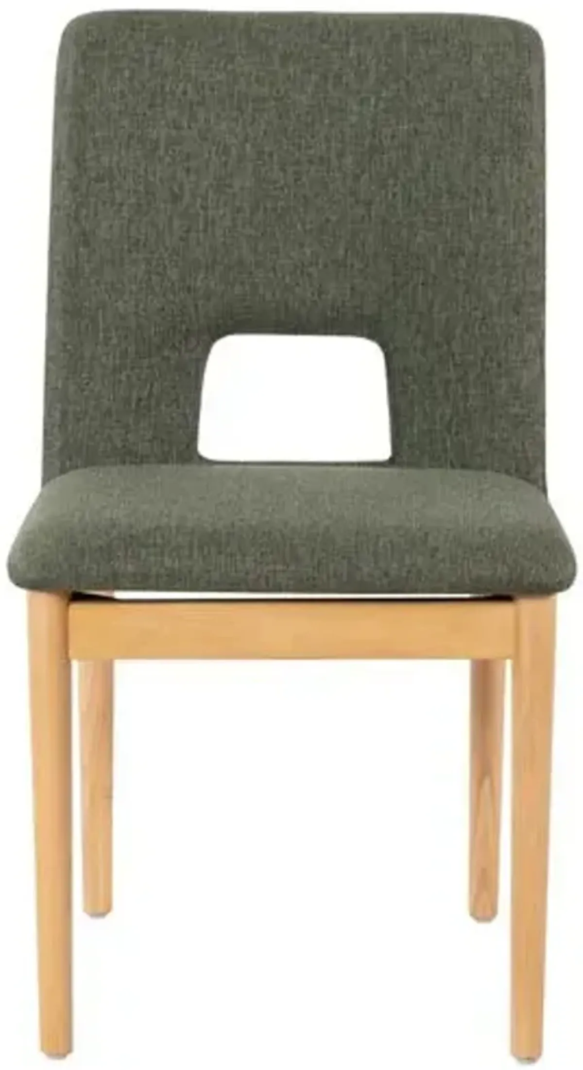 Set of 2 Fera Dining Side Chairs - Green/Natural