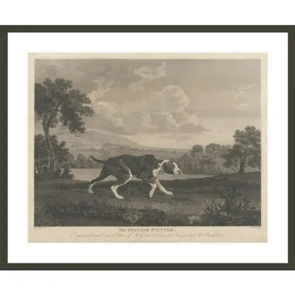 [Shooting] The Spanish Pointer by William Woollett - after George Stubbs Framed Print - 1000Museums - Black
