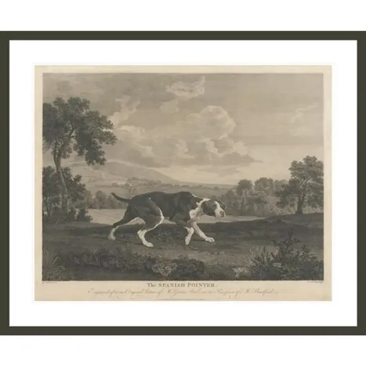 [Shooting] The Spanish Pointer by William Woollett - after George Stubbs Framed Print - 1000Museums - Black