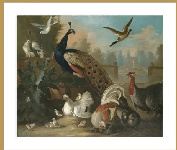A Peacock and Other Birds by Marmaduke Craddock Framed Print