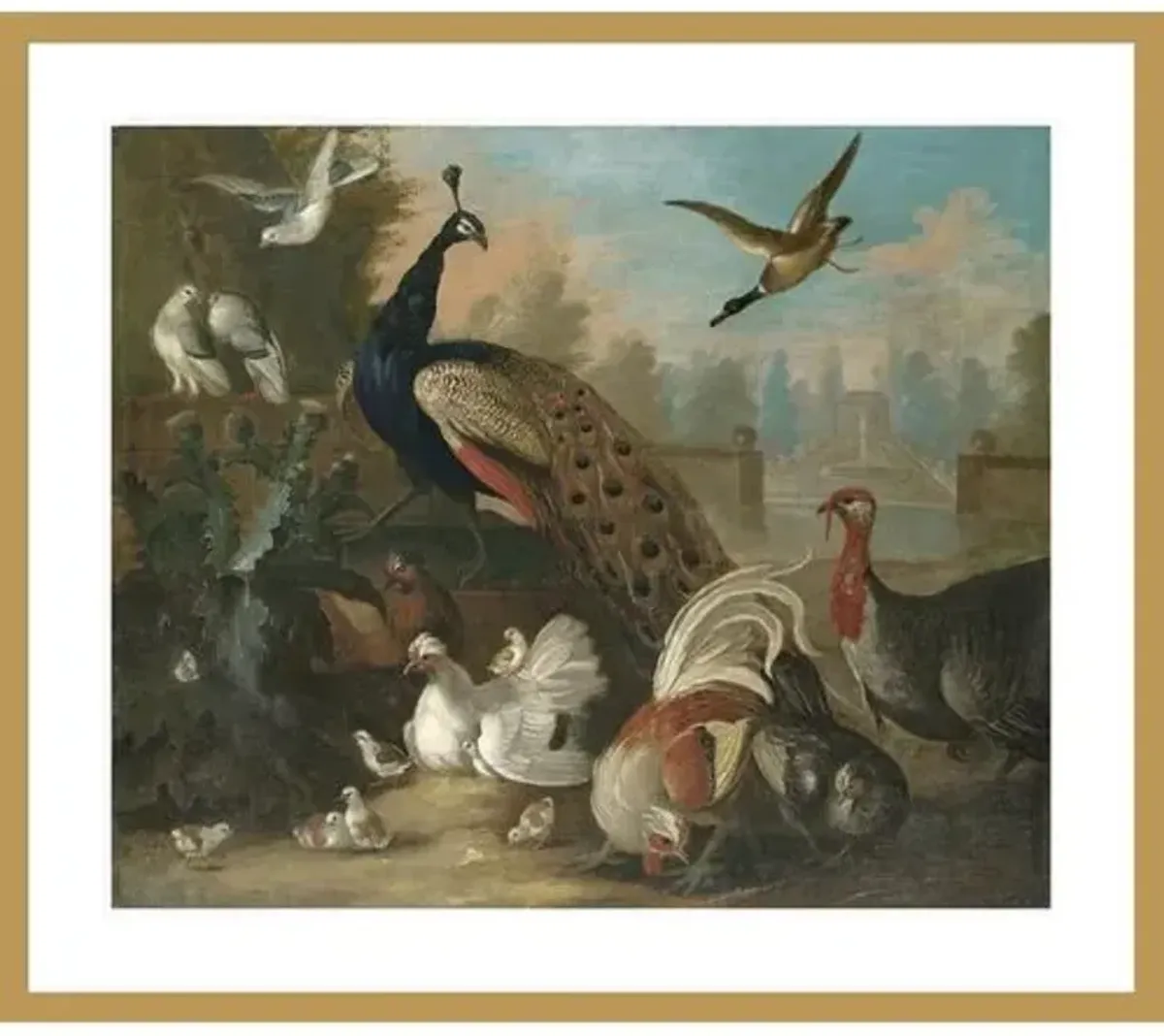 A Peacock and Other Birds by Marmaduke Craddock Framed Print - 1000Museums - Gold