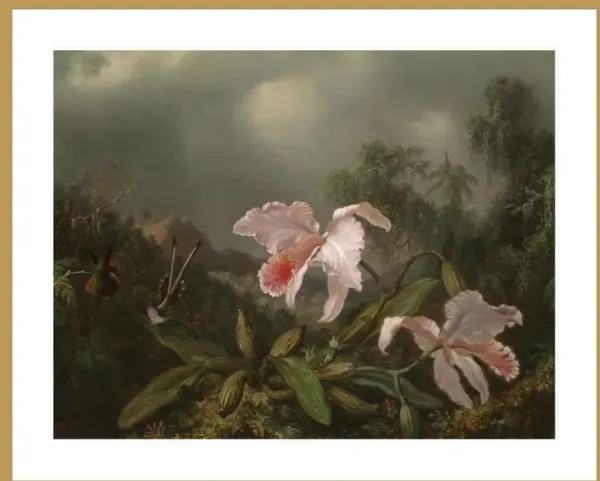 Jungle Orchids and Hummingbirds by Martin Johnson Heade Framed Print