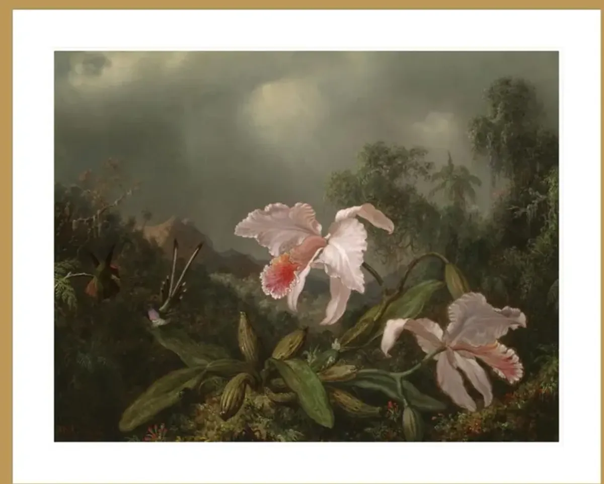 Jungle Orchids and Hummingbirds by Martin Johnson Heade Framed Print