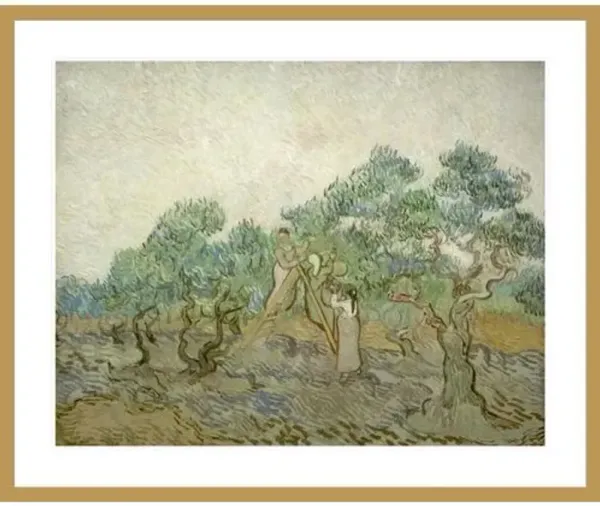 The Olive Orchard by Vincent van Gogh Framed Print - 1000Museums - Gold