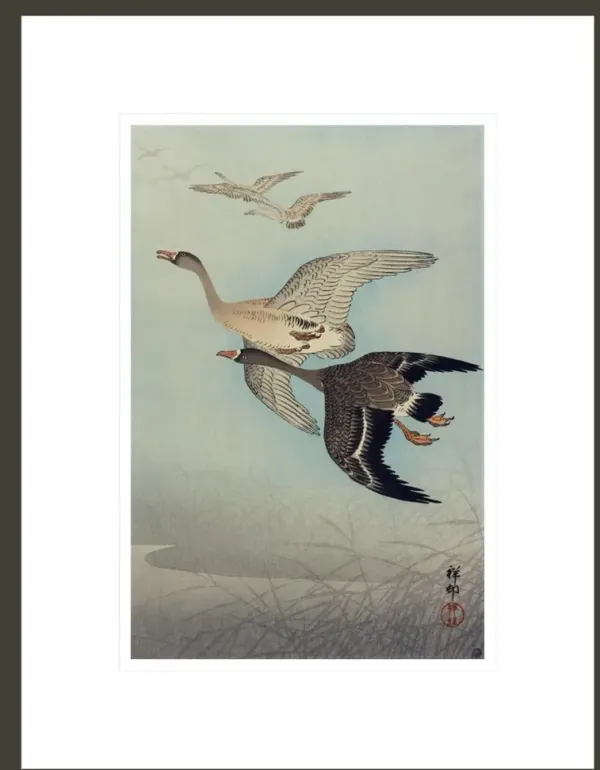 Flying geese by Ohara Shoson Framed Print