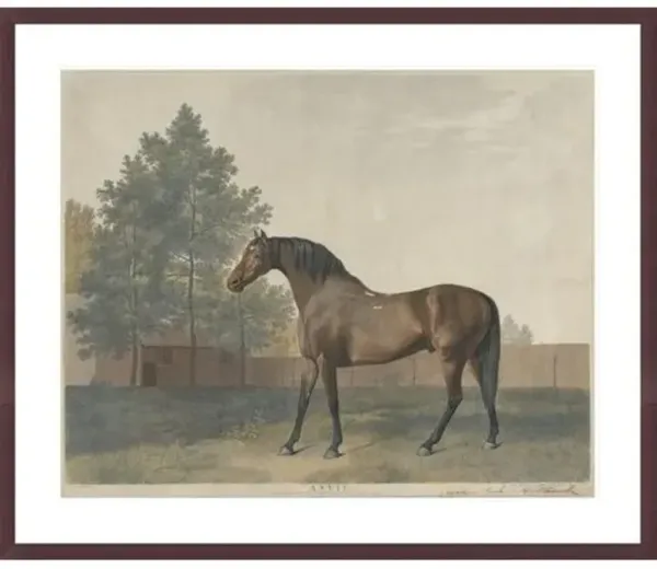 Anvil" by George Stubbs Framed Print - 1000Museums - Brown