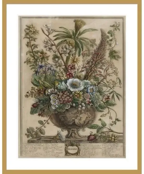 December - The Twelve Months of Flowers by Henry Fletcher Framed Print - 1000Museums - Gold