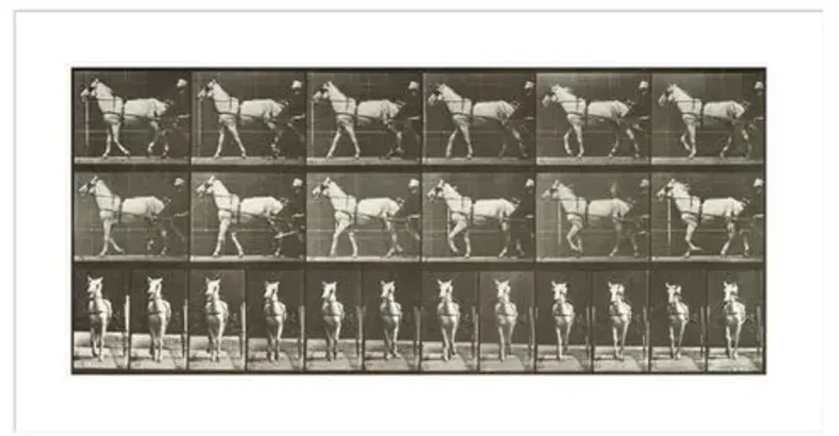 Walking Sulky by Eadweard Muybridge Print - 1000Museums - White