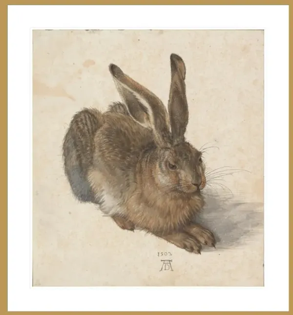 Young Hare by Albrecht Dürer Framed Print