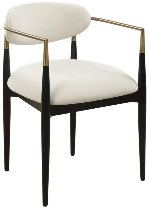 Gaelith Velvet Dining Armchair, Black/Brass/Cream