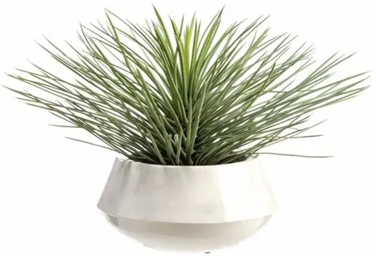 20" Whipple Yucca Plant in Iron Planter - Green - 26Lx20Hx27Wx27D in
