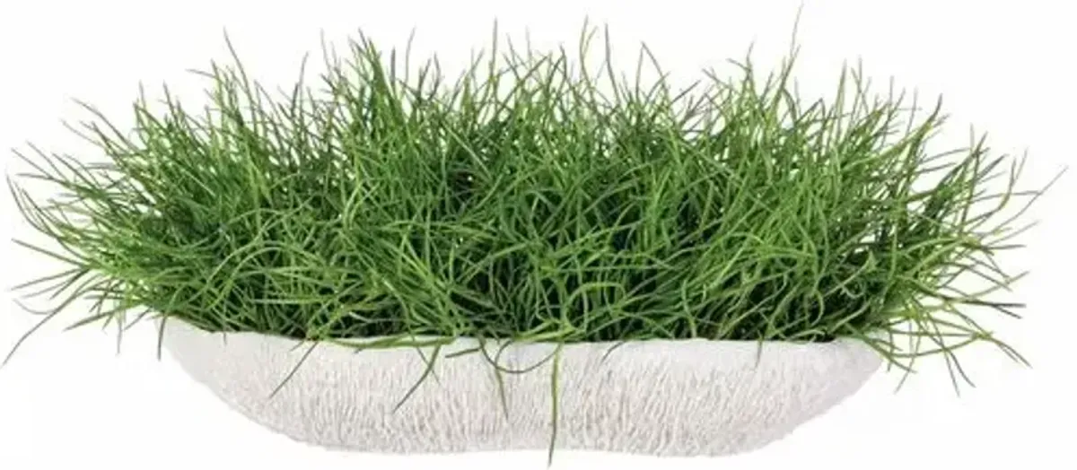10" Soft Grass in Low Coral Vase - Green