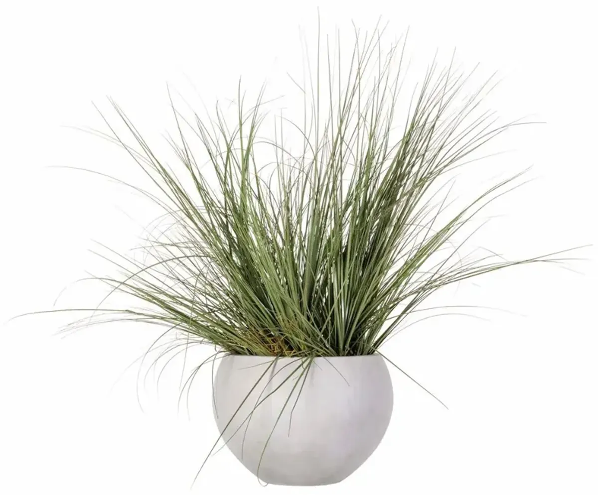 44" Wild Grass in Cement Pot, Green