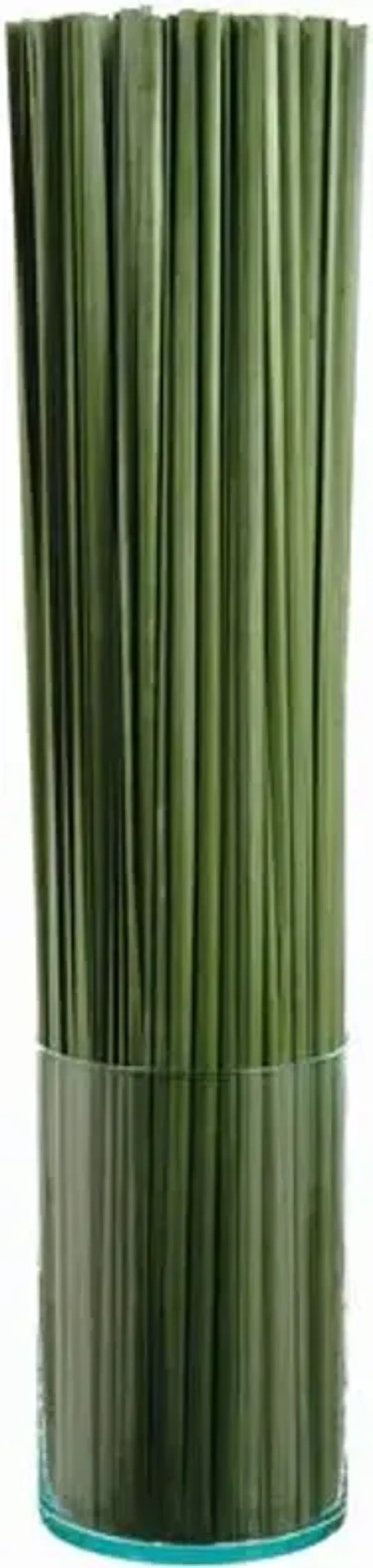 42 Tall Grass in Glass Vase - Green