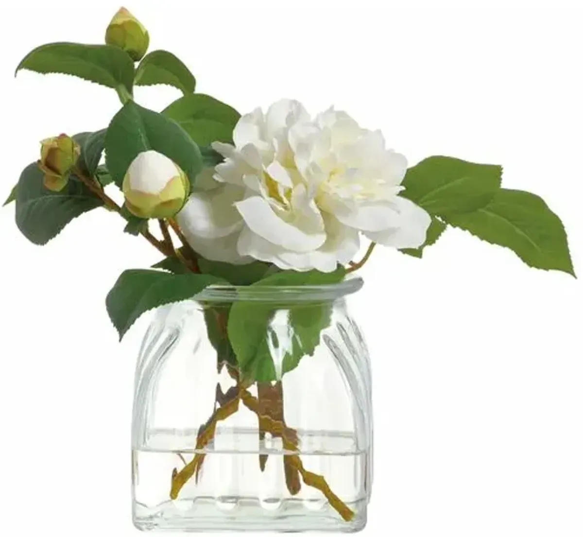 8 Camellia Arrangement in Glass Vase - White