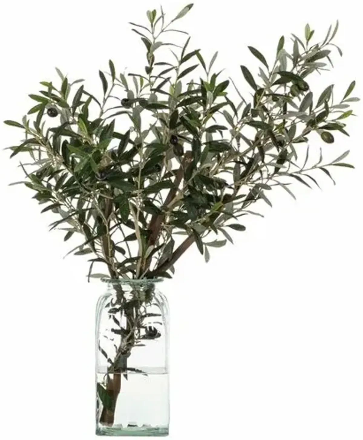 32" Olive Branch in Glass Vase - Green