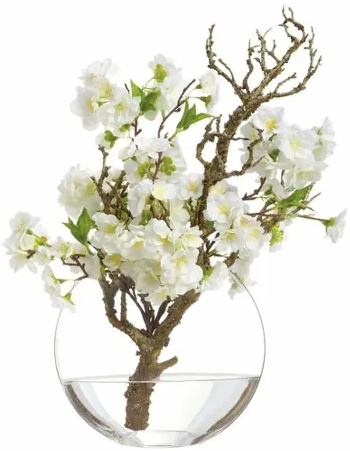 19" Cherry Blossom Branch in Glass Vase - White