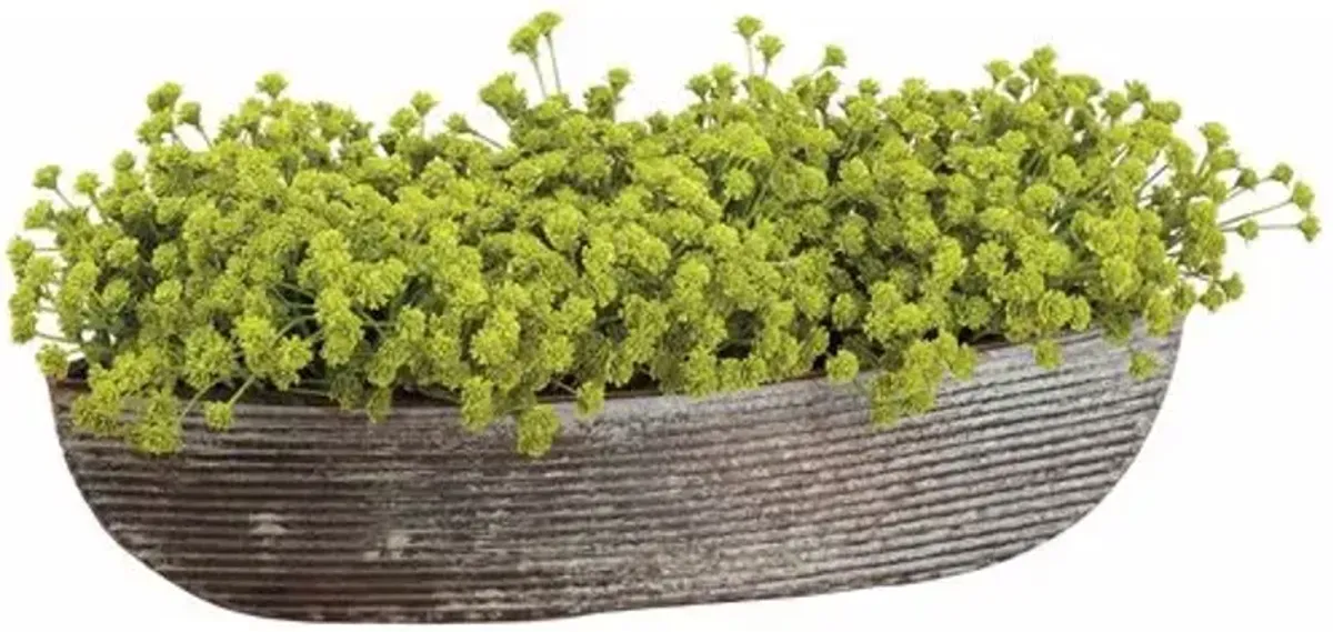 6" Baby Breath Arrangement in Tin Oval Container - Green