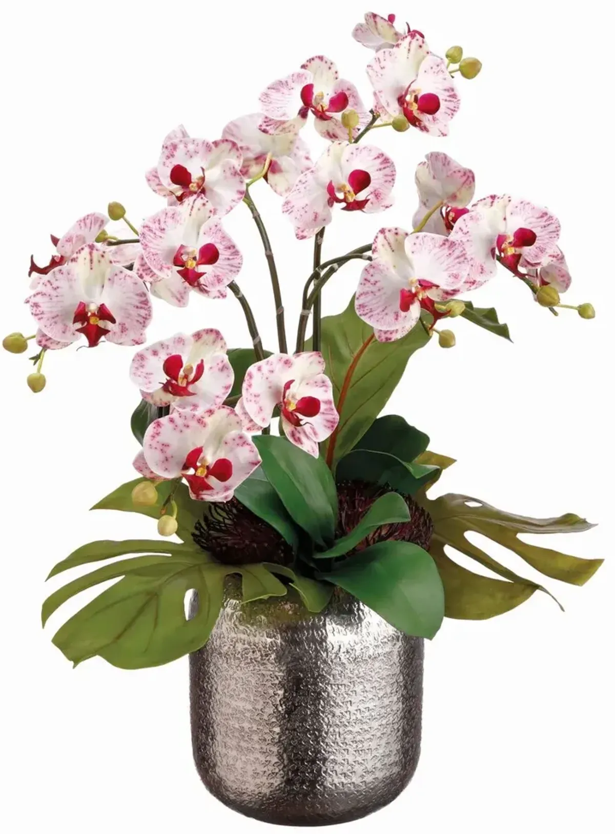 25" Bird's Nest Leaf Arrangement in Silver Ball, Green