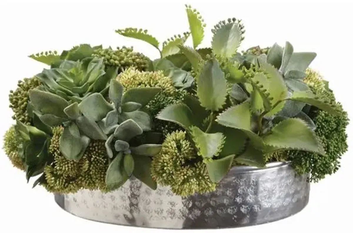 9" Succulent in Vase - Green