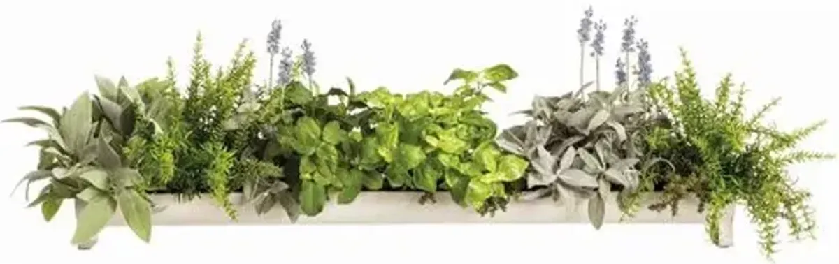 13" Sage - Mint and Lavender Arrangement in Container - Green