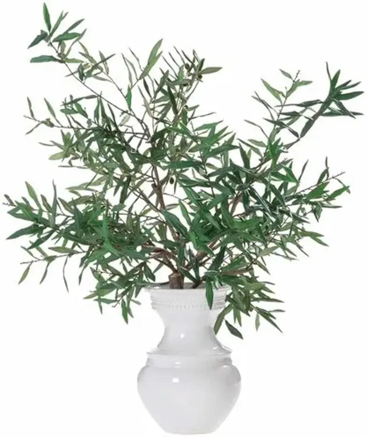 44" Olive Branch in Ceramic Vase - Green