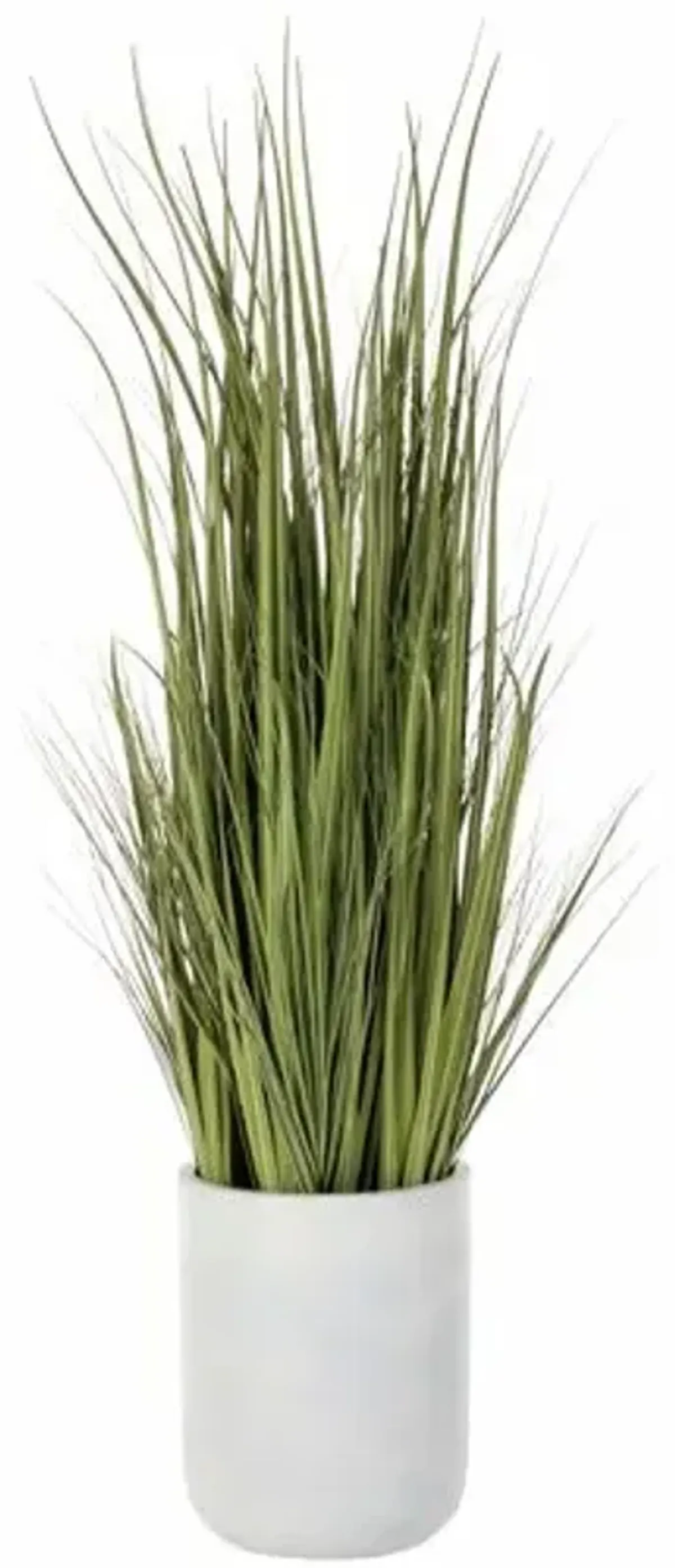 64 Wild Grass in White Cement Planter - Green - 15Lx64Hx15Wx15D in
