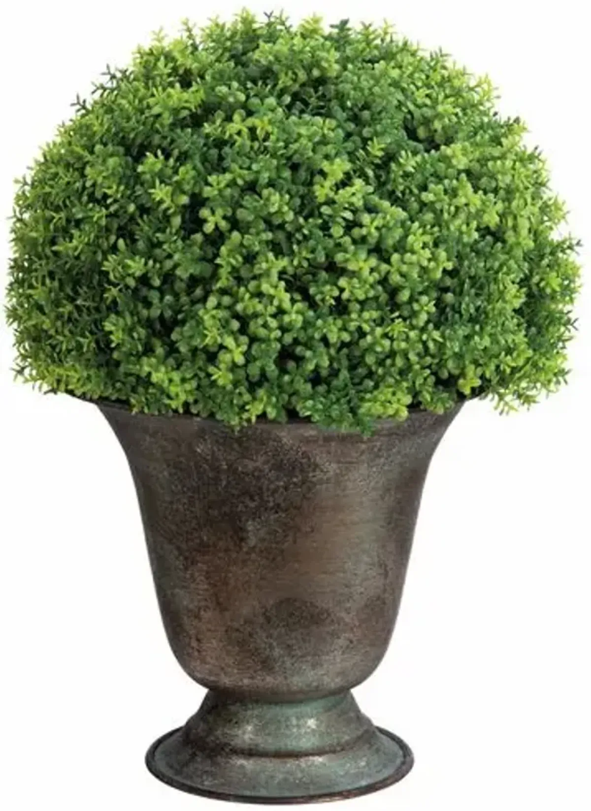 13" Baby Tear Ball Topiary in Metal Urn - Green