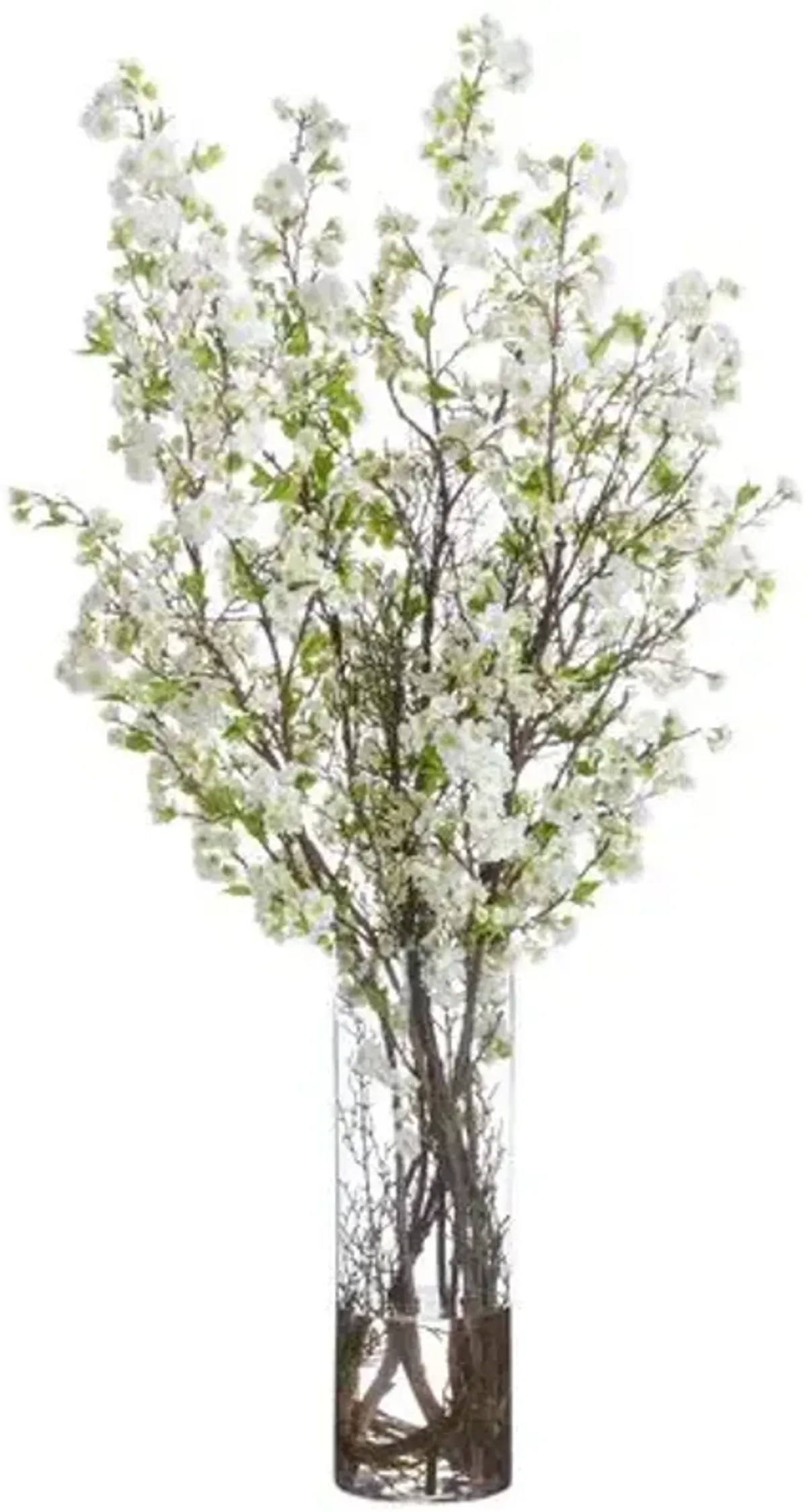 64" Cherry Blossom Arrangement in Tall Glass Vase - Green