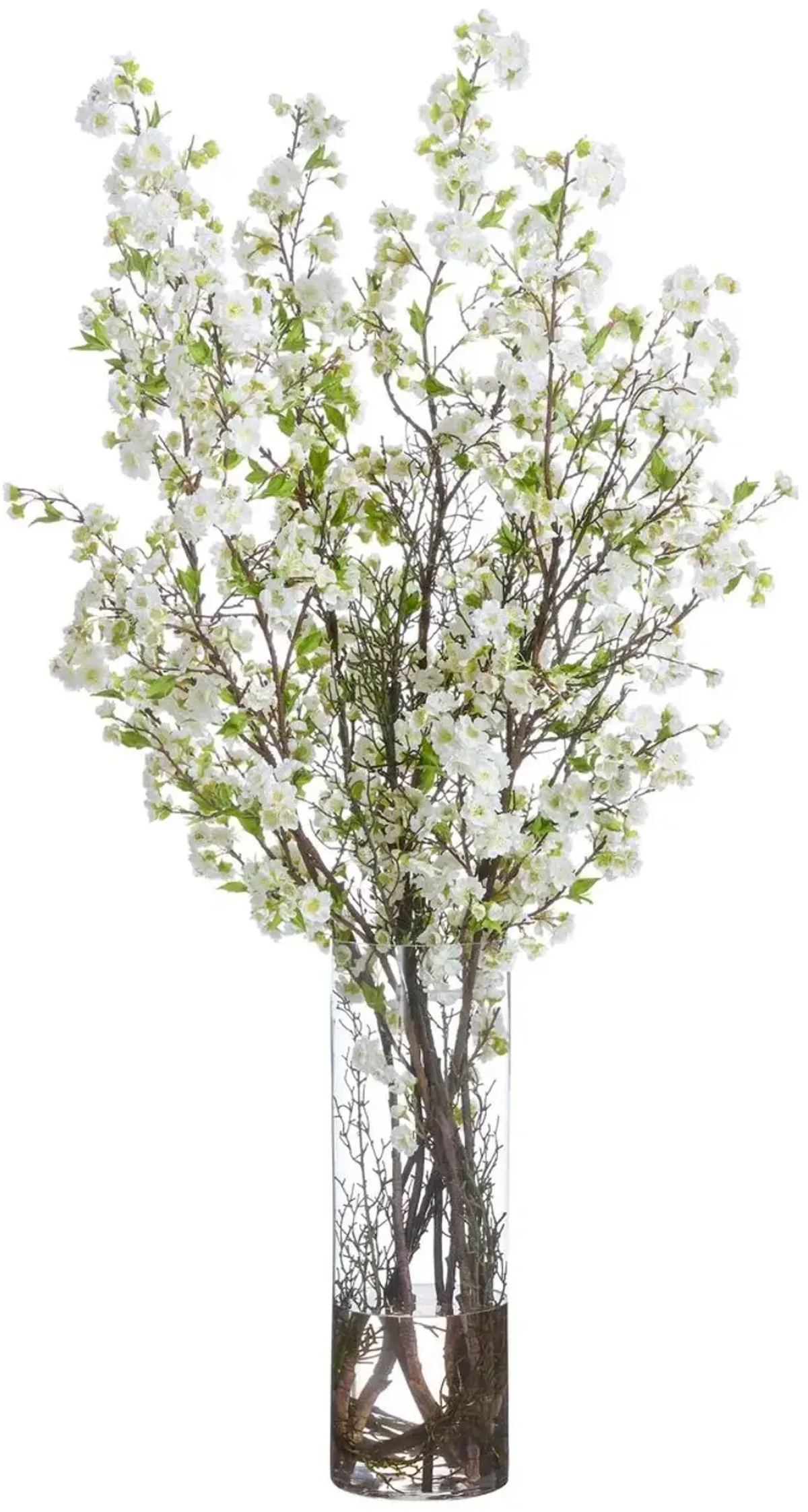 64" Cherry Blossom Arrangement in Tall Glass Vase, Green