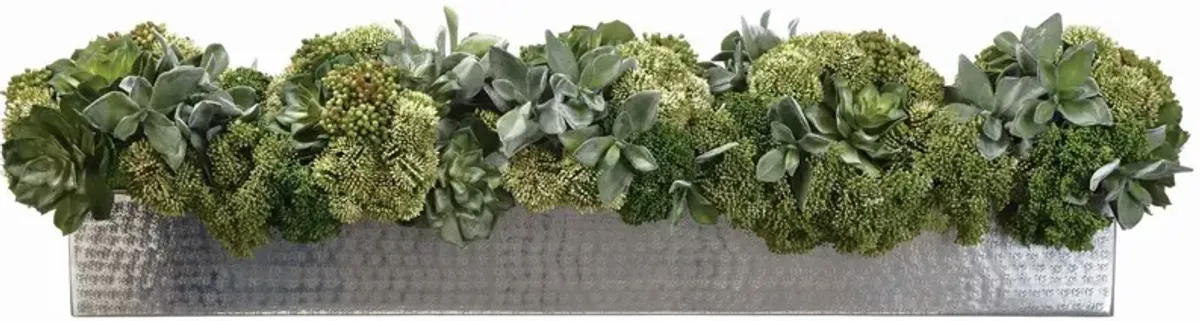 10" Succulent and Sedum Arrangement in Planter, Green