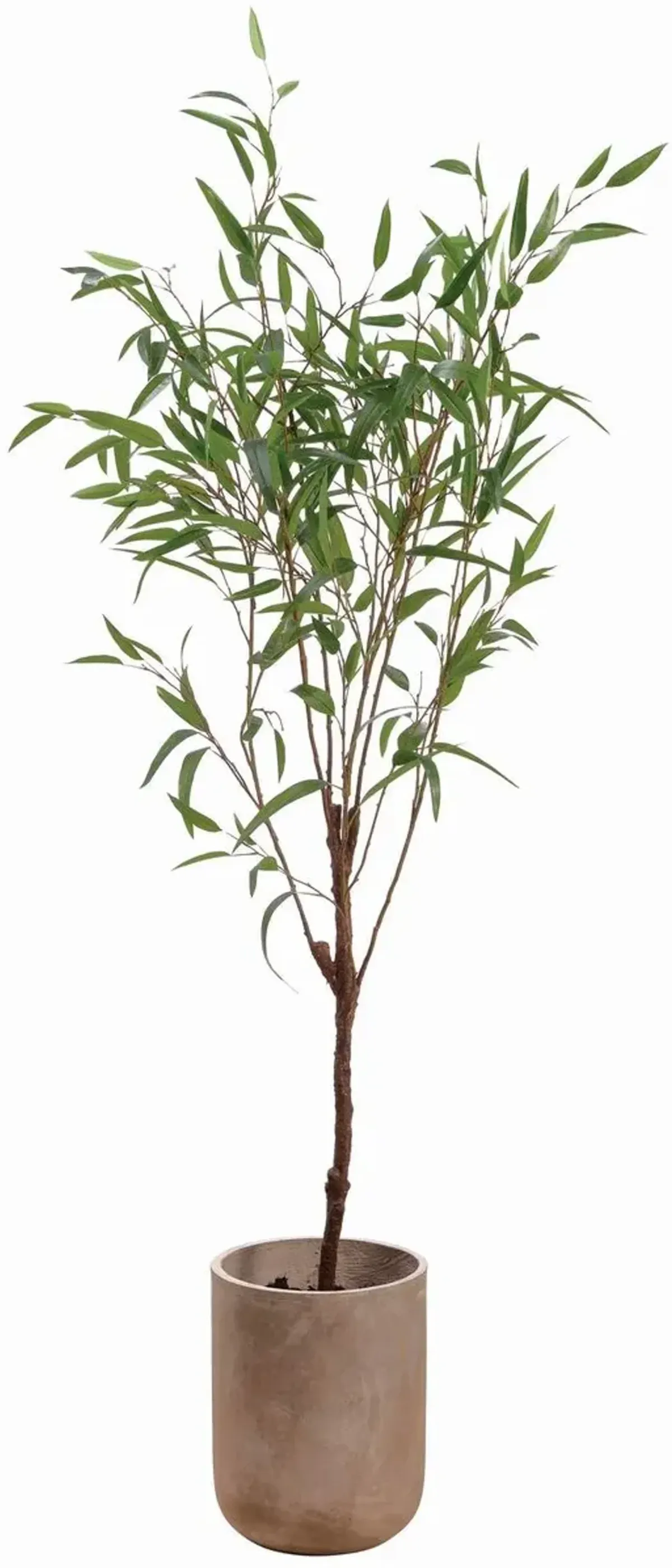 6' Bamboo Tree, Green