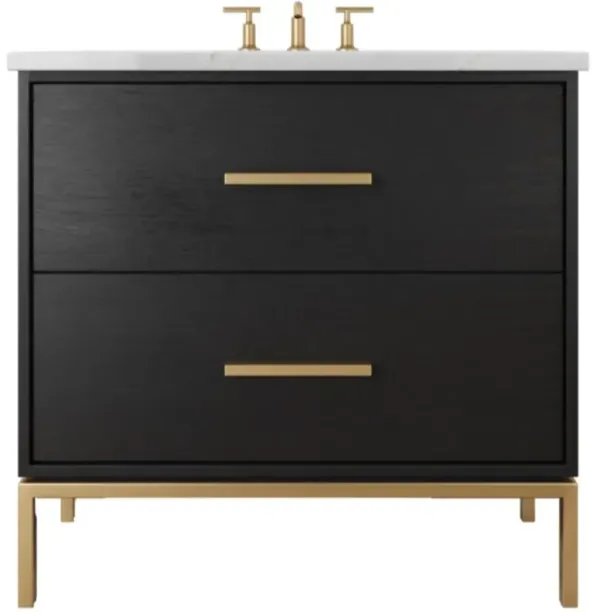 Briar White Oak Two-Drawer Single Bathroom Vanity - Black