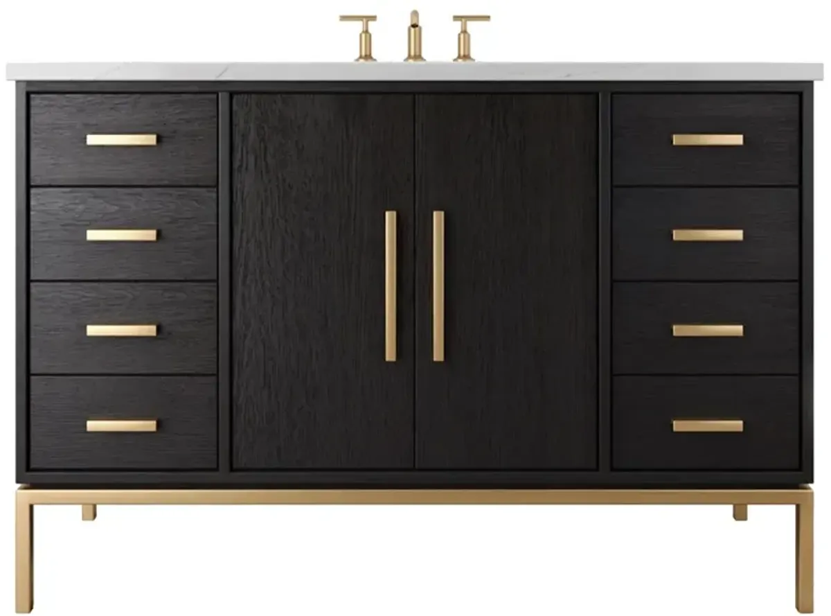 Briar White Oak Single Extra Wide Bathroom Vanity - Black