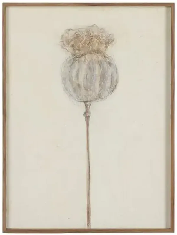 Poppy Crema Painting by Paul Meyer - Rustic Walnut Frame - Brown