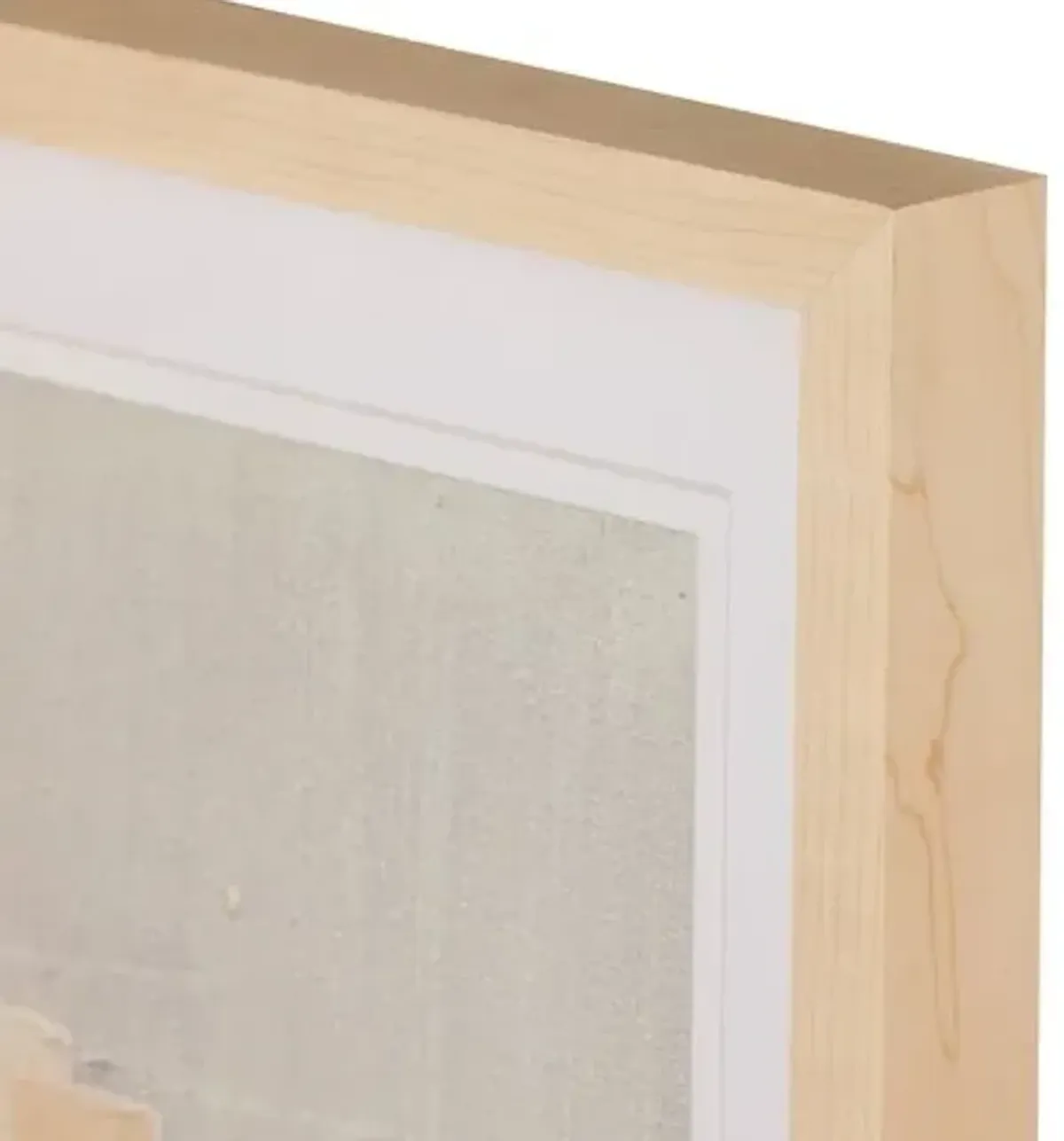 Galactic Set Of 9 Painting by Jade Dacay - Brown