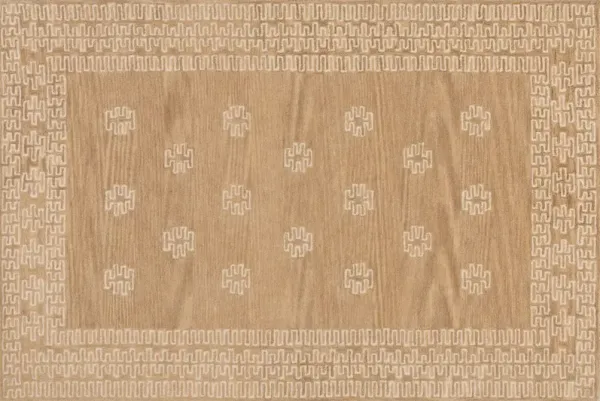 Padma Lakshmi, Arizona Rug