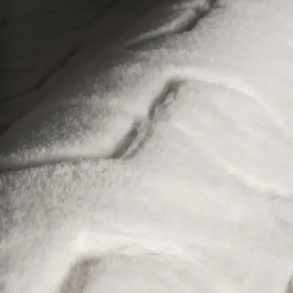 Padma Lakshmi, Rhythm Rug